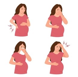 Pregnancy Image 3